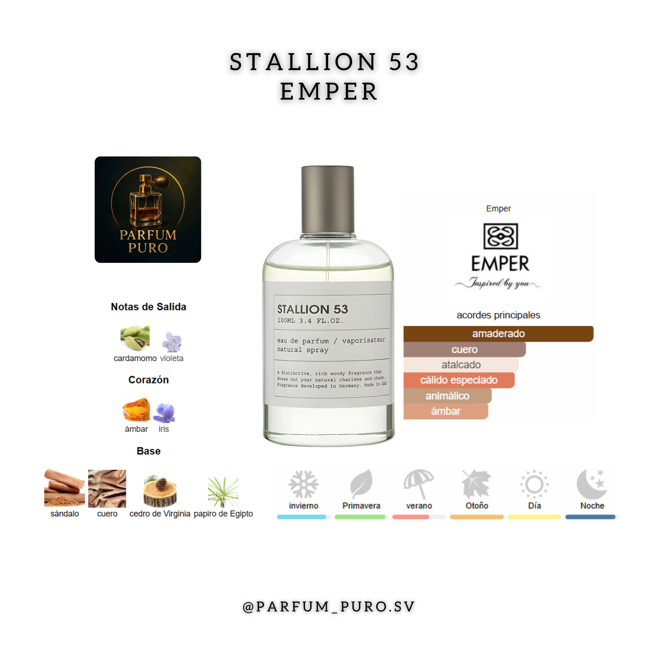 Stallion 53