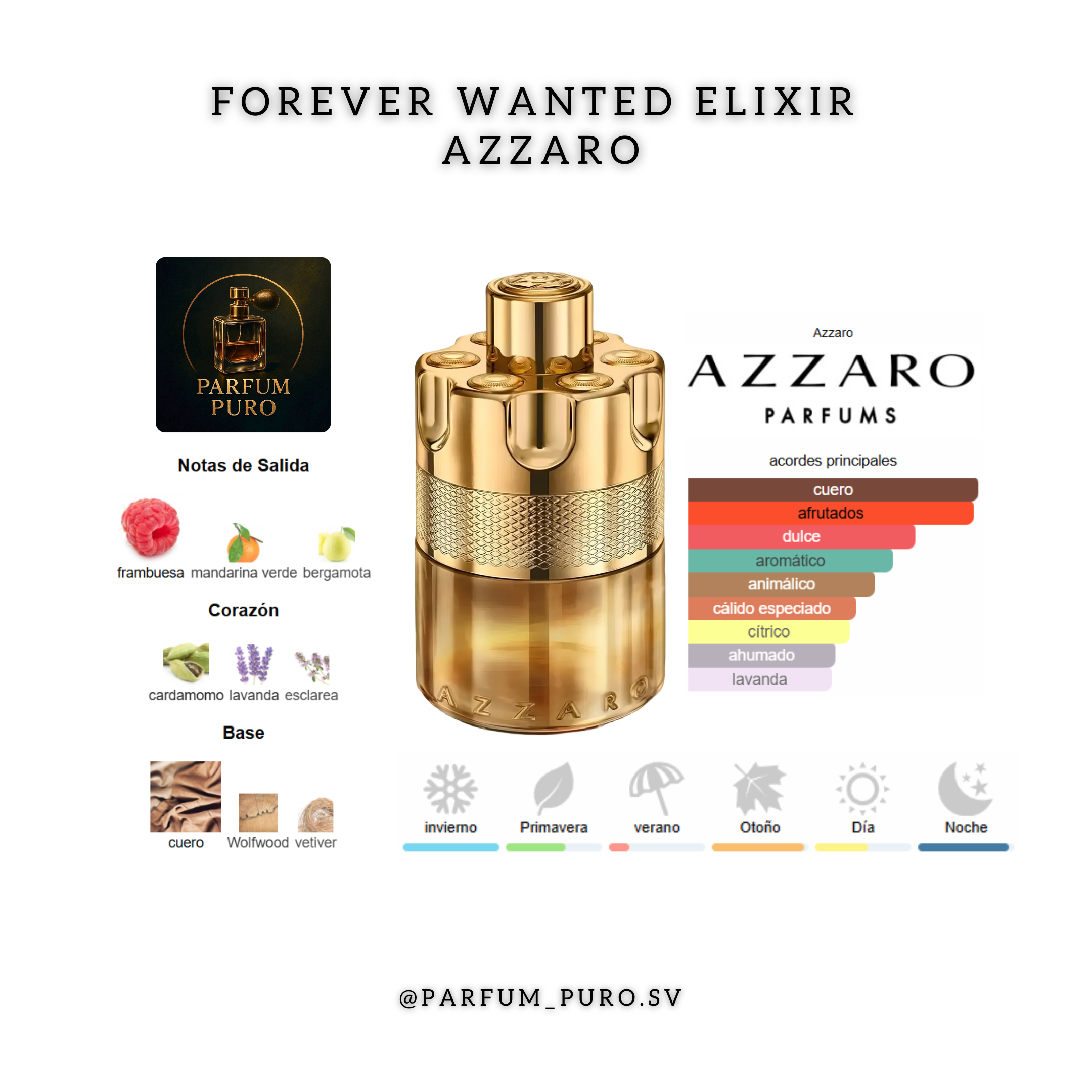 Forever Wanted Elixir