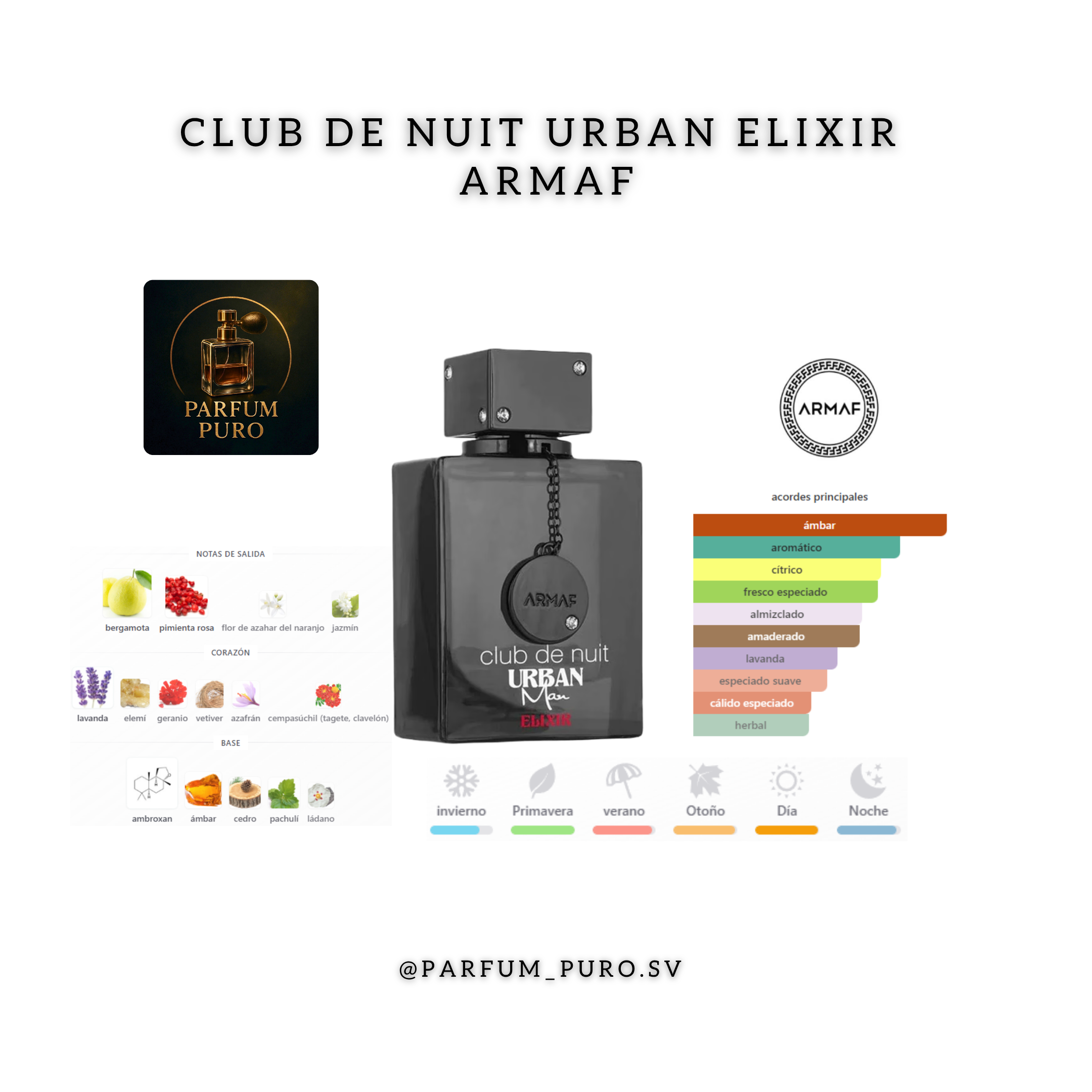 Club de Nuit Urban Elixir
