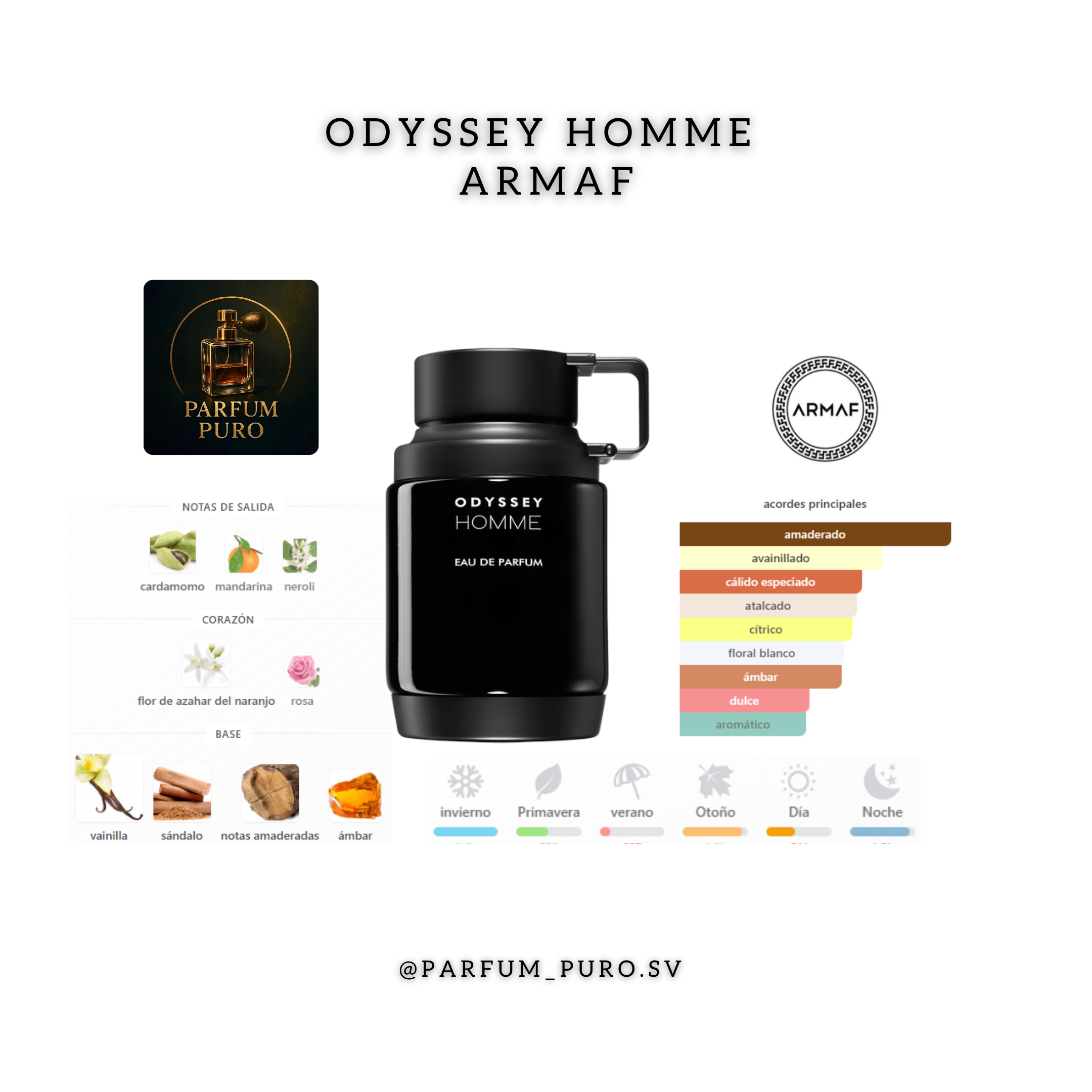 Odyssey Homme