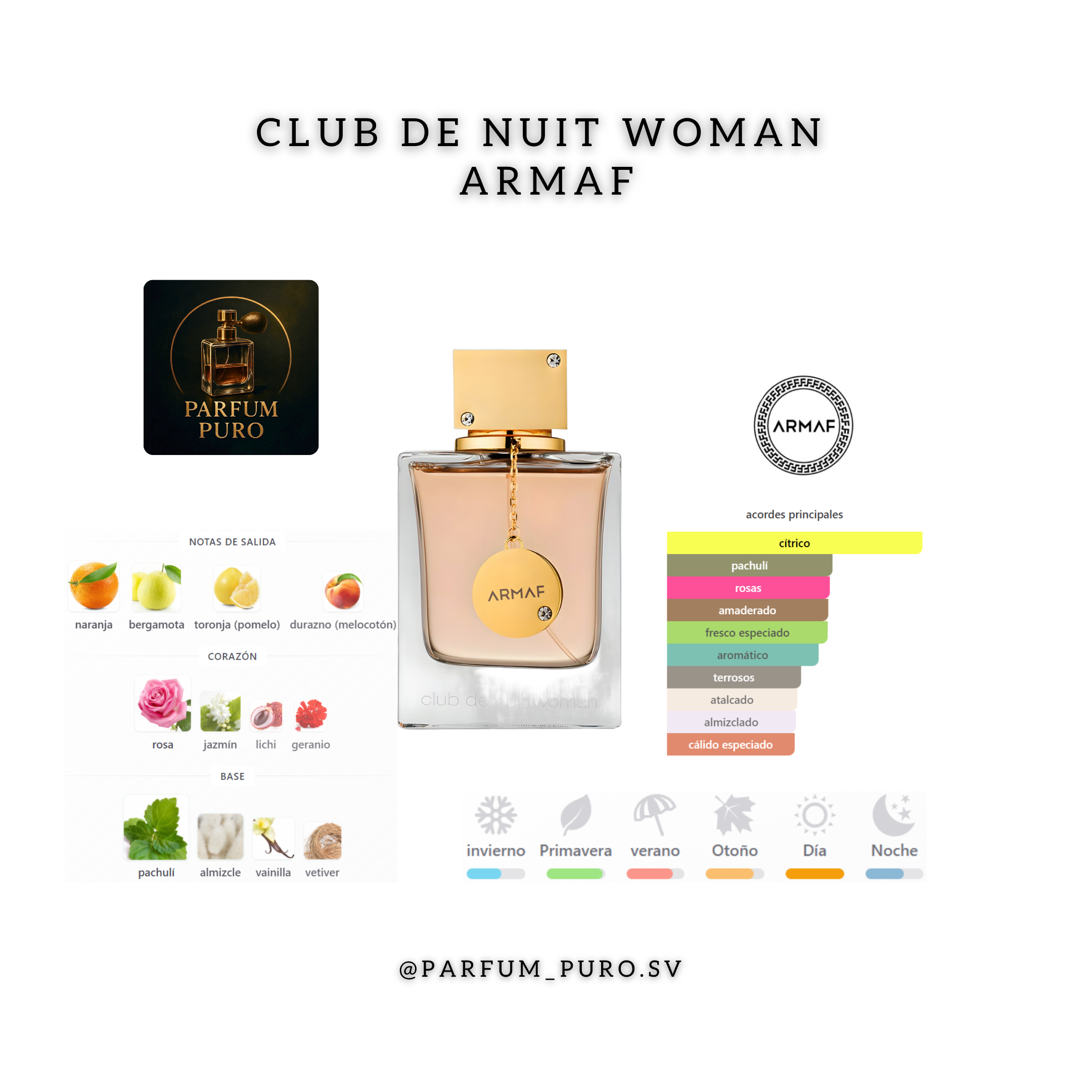 CLUB DE NUIT WOMAN