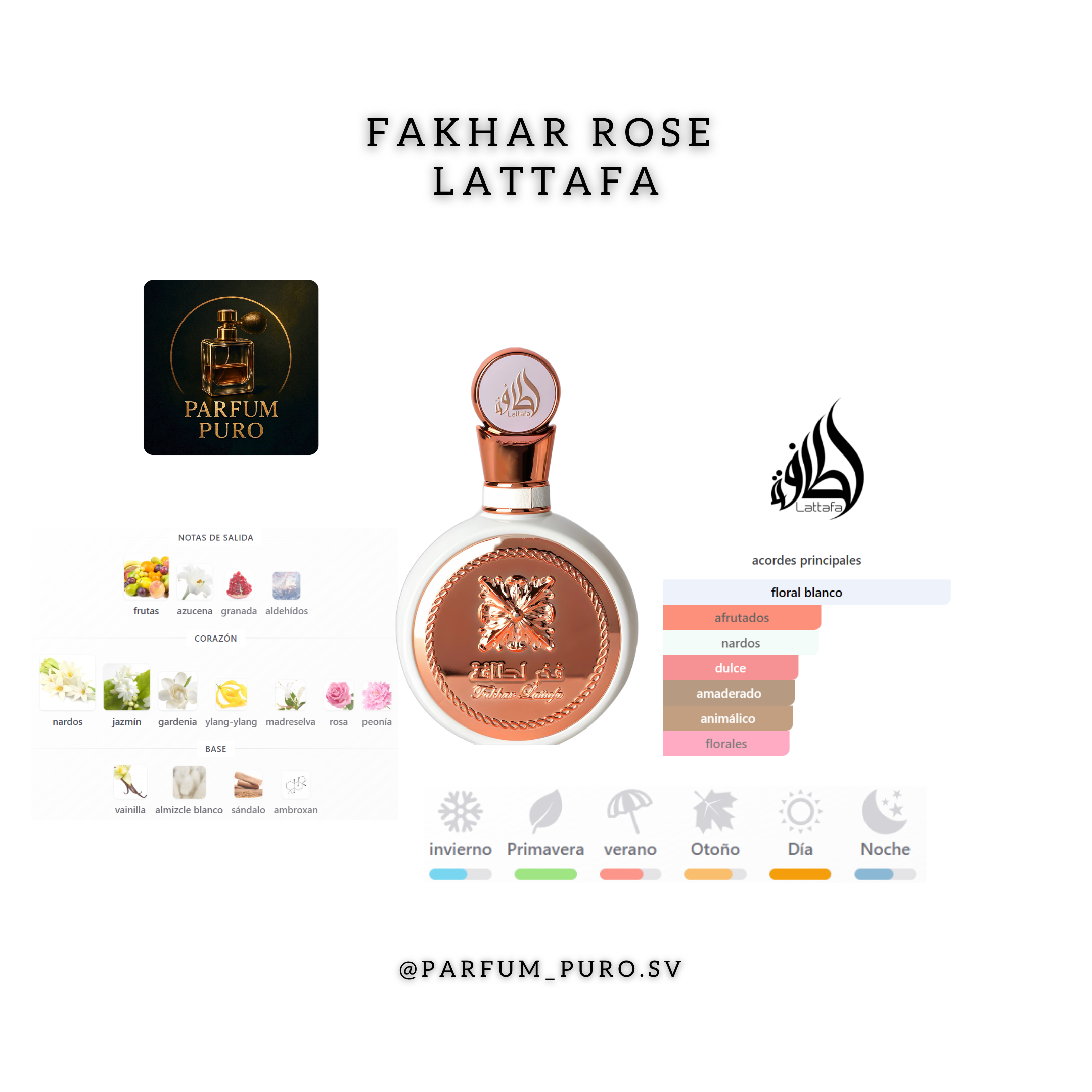 FAKHAR ROSE
